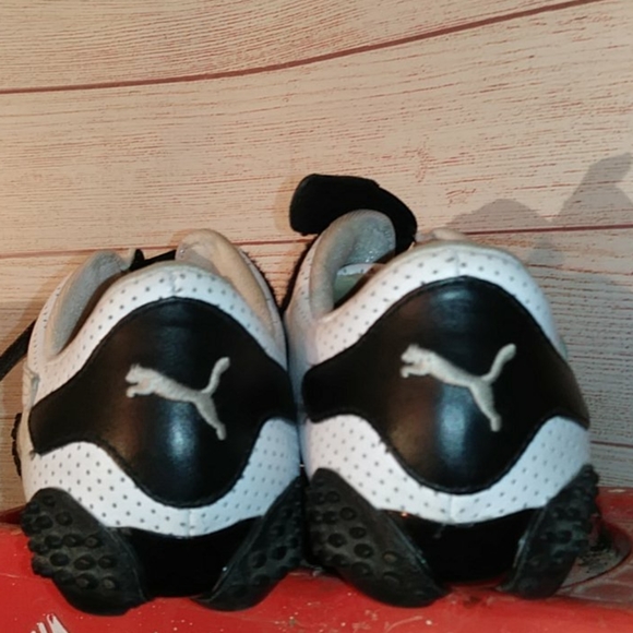 Puma - Picture 8 of 12